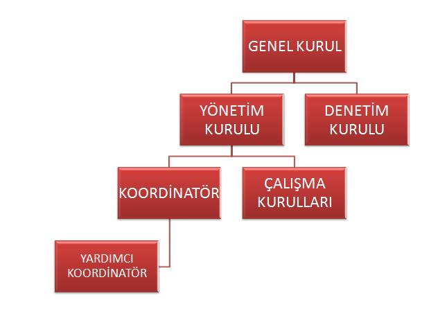 ORGANİZASYON SEMASI